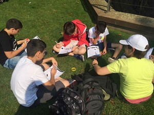 D & V Education