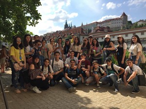 D&V TRAVEL